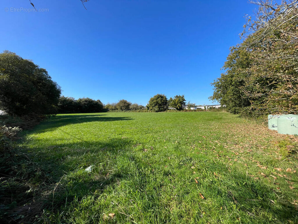 Commercial land for sale – coromandel