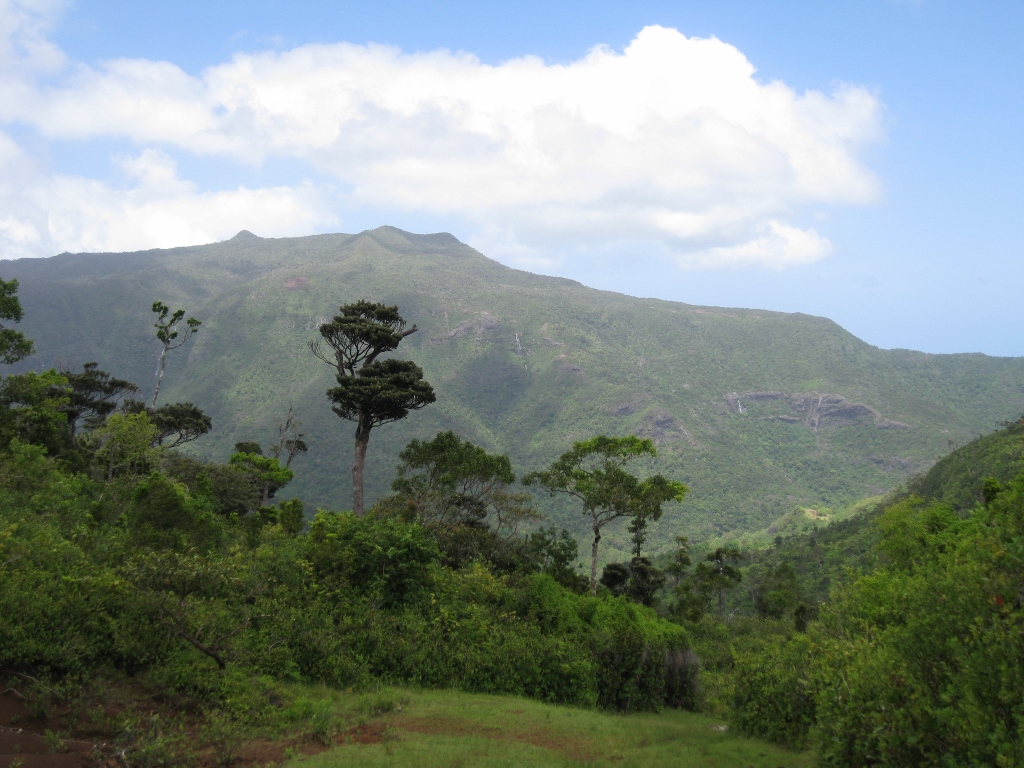 Land for sale in Petrin, Vacoas