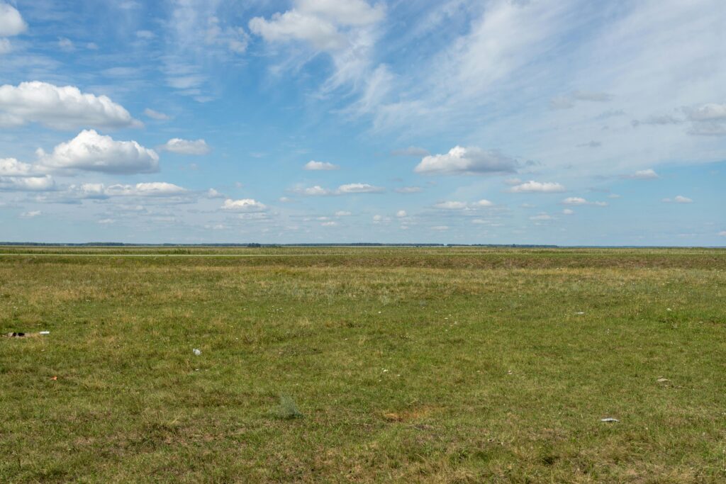 Land for sale in Sebastopol