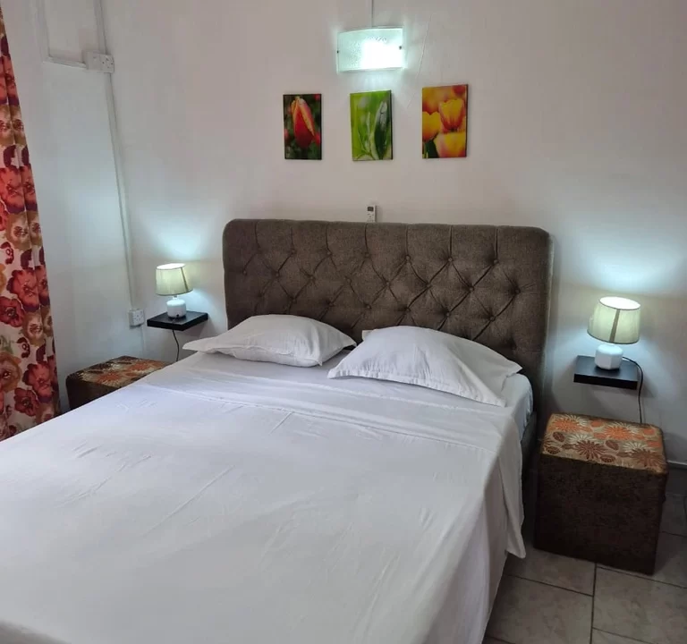 Opulent 2-Bedroom Apartment for Rent in Quatre Bornes 2