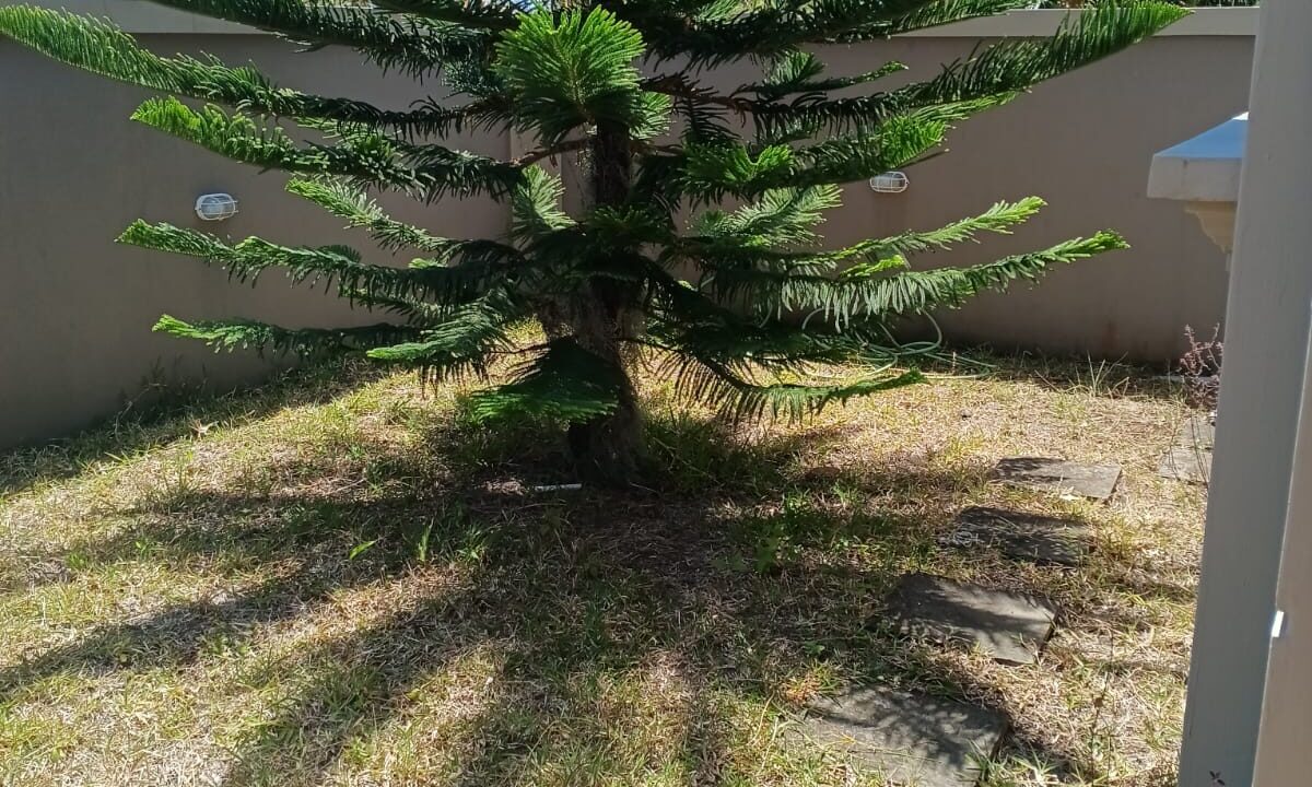 Villa for sale in Cap Malheureux 5