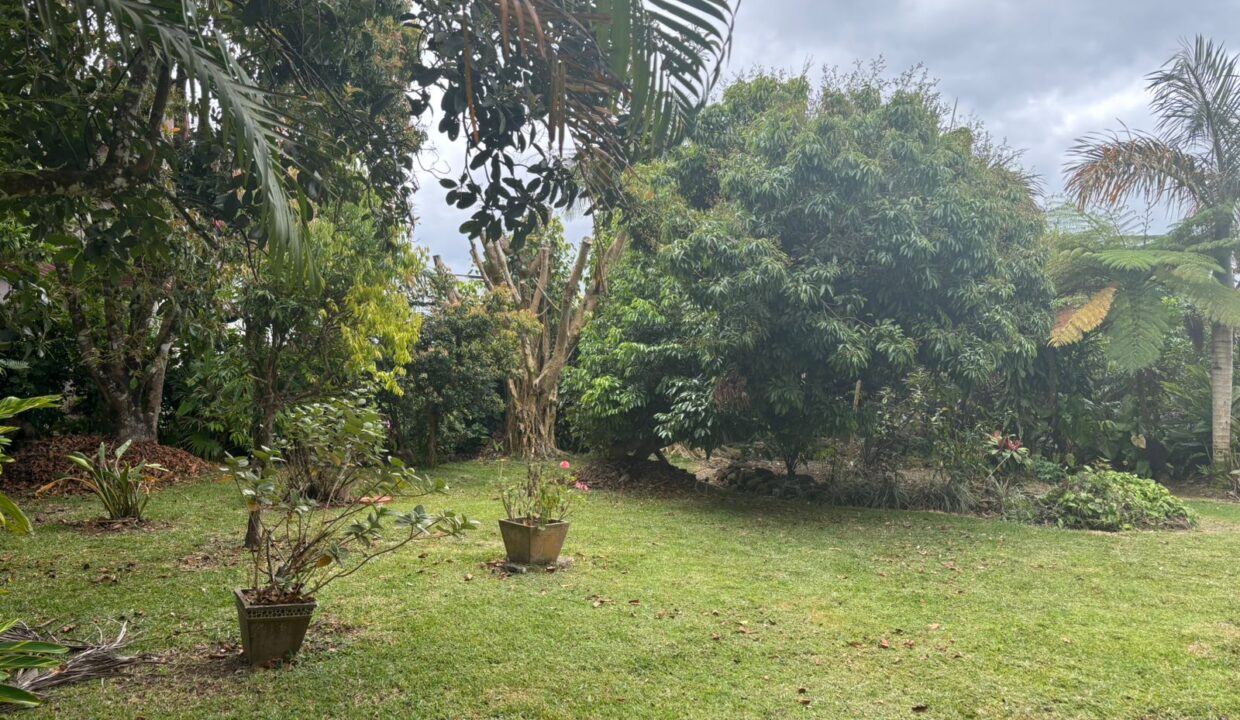 house for sale in floreal 5