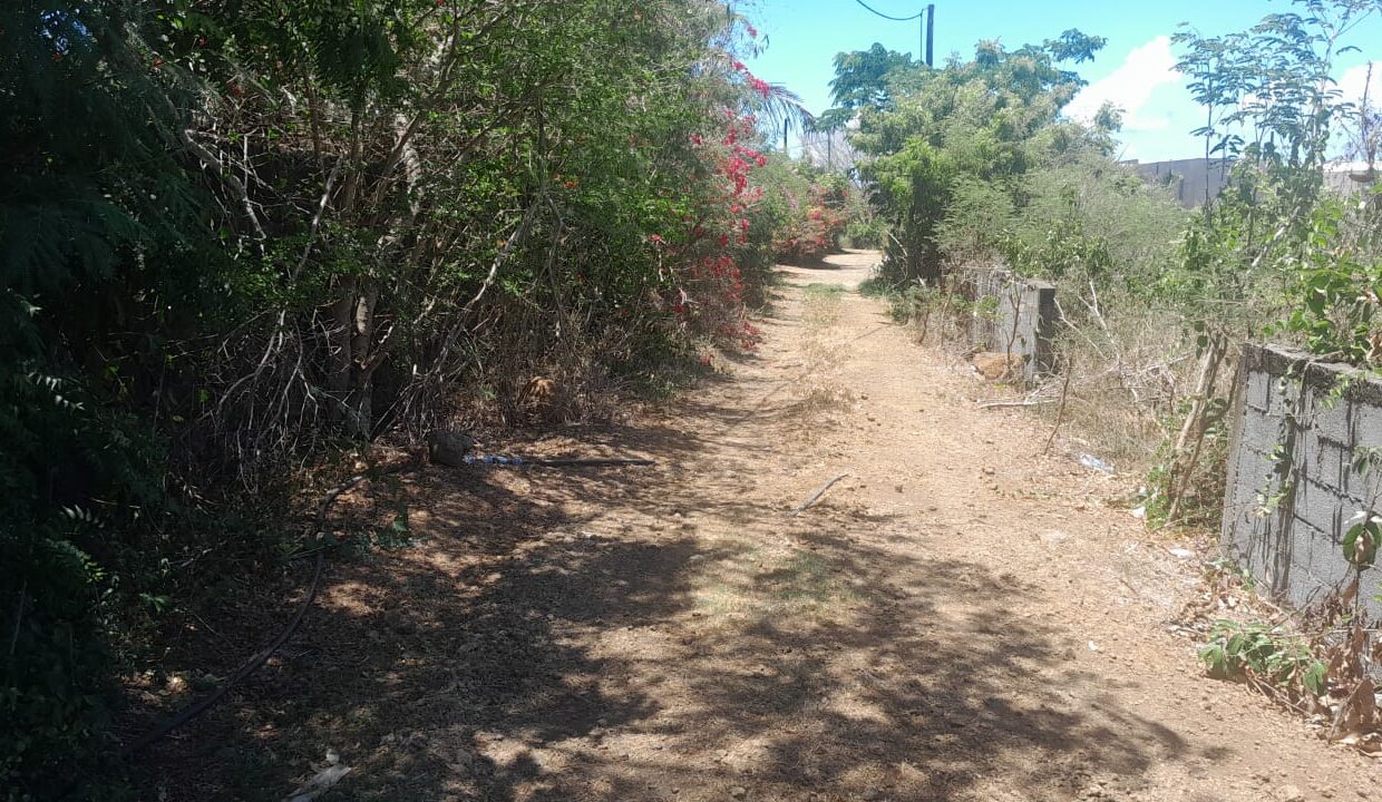 land for sale in calodyne 1