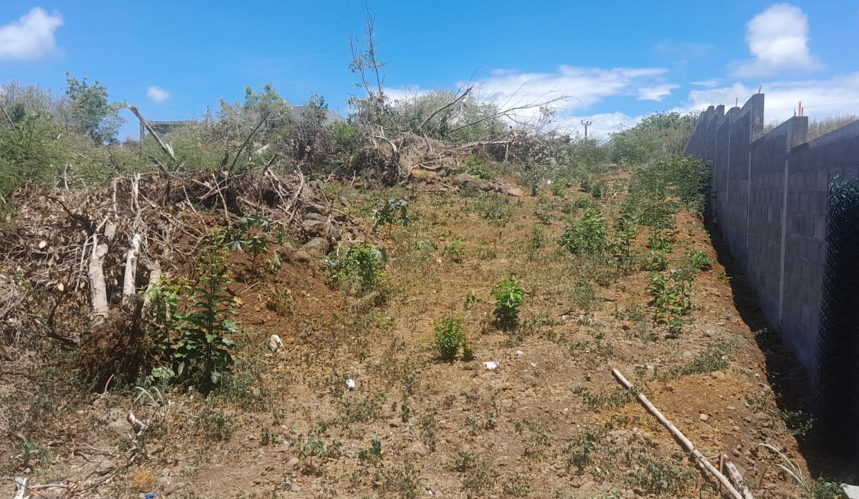 land for sale in calodyne 2