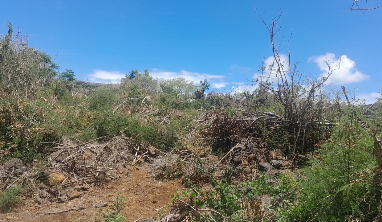 land for sale in calodyne 4