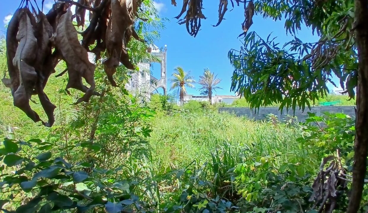 12.5 perches Residential Land for Sale in Péreybère 6