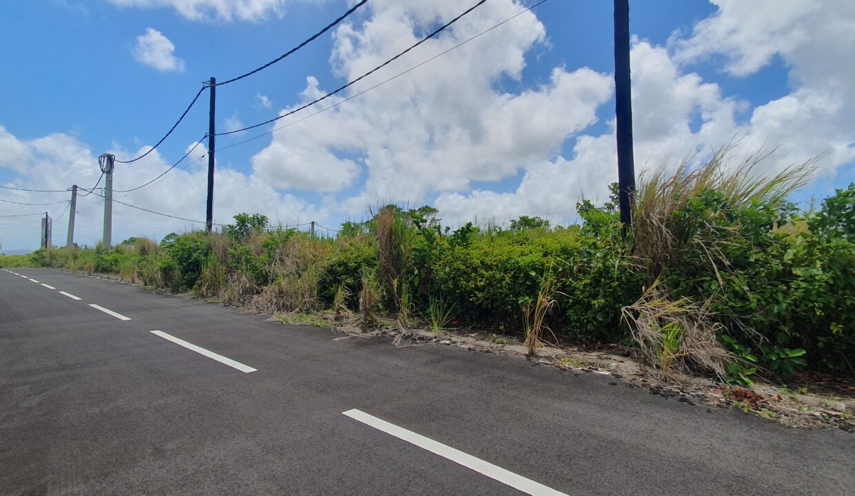 14.90 perches prime Residential Land for Sale in Rose Belle 2