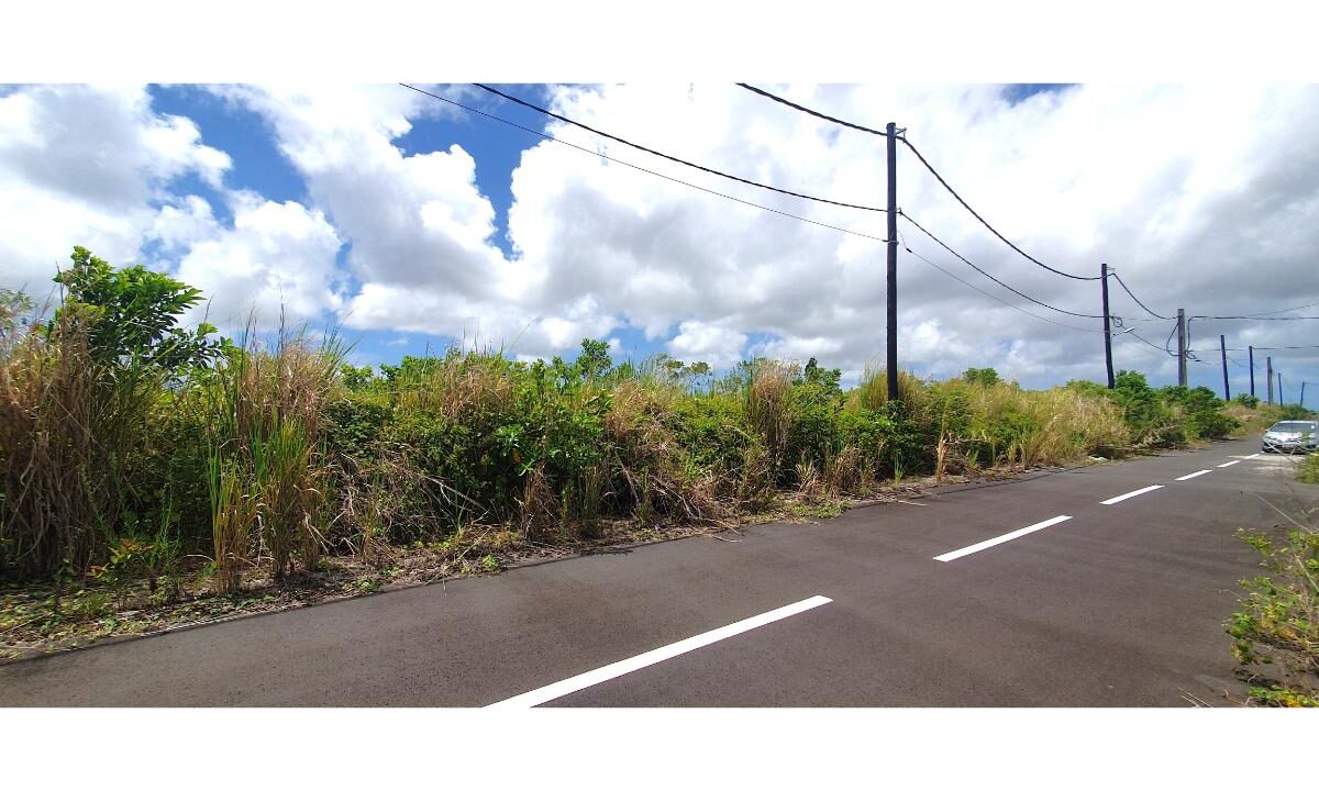 14.90 perches prime Residential Land for Sale in Rose Belle 4