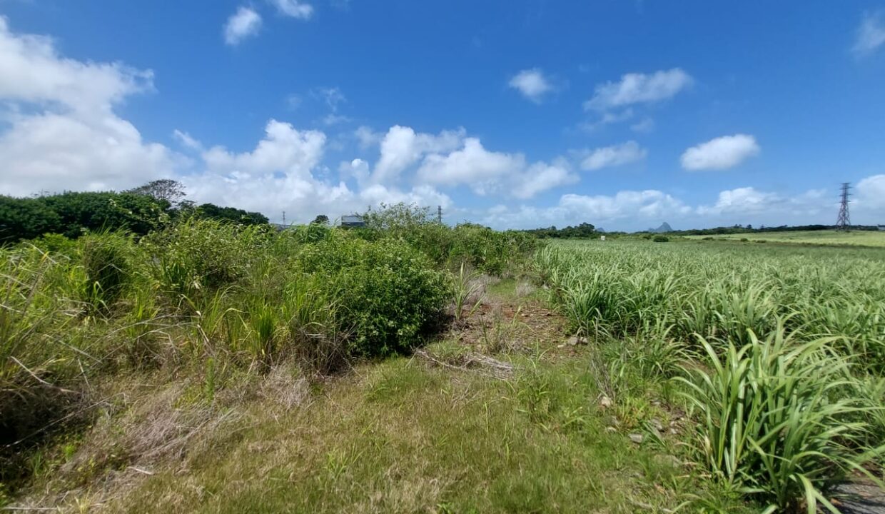 3.5 Perches Commercial Land for Sale – Valentina, Phoenix 1