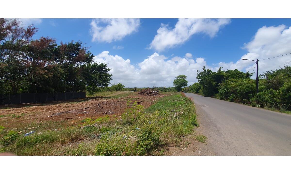 7.39 perches Residential plots for Sale St Antoine Goodlands 11