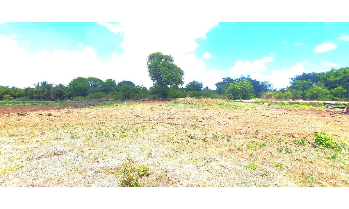 7.39 perches Residential plots for Sale St Antoine Goodlands 2