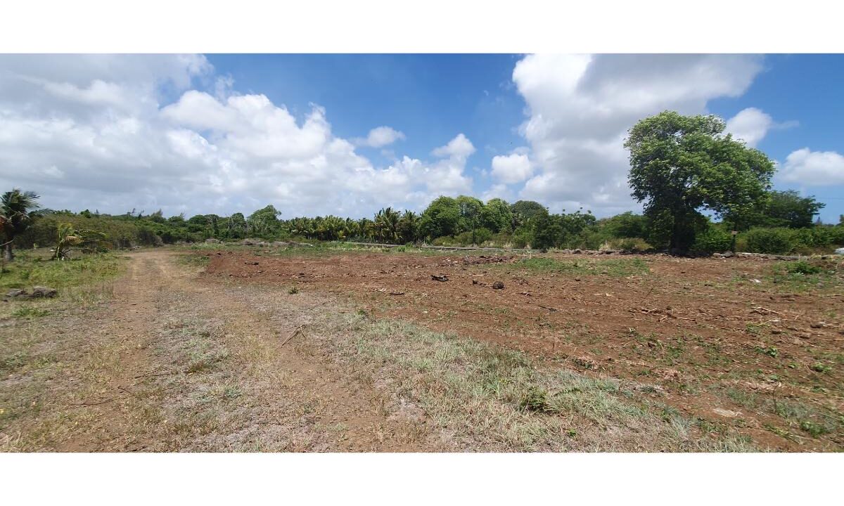 7.39 perches Residential plots for Sale St Antoine Goodlands 5