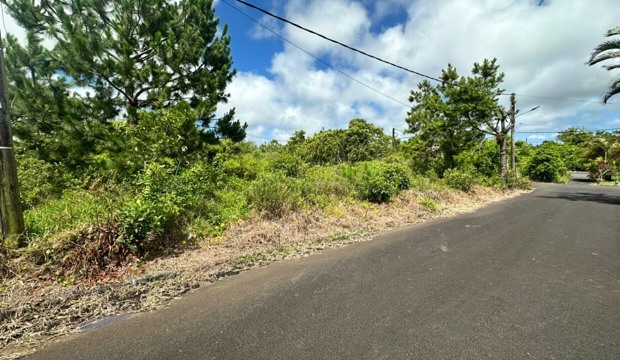 9.9 perches residential land for sale pinewood gardens, wooton 1