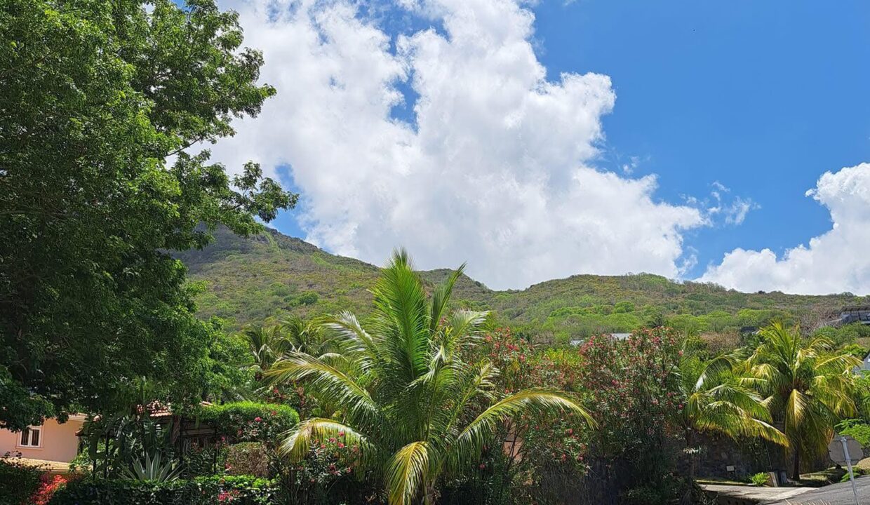 FOR SALE _ Prestige Villa - Plantation Marguery, Rivière Noire 8