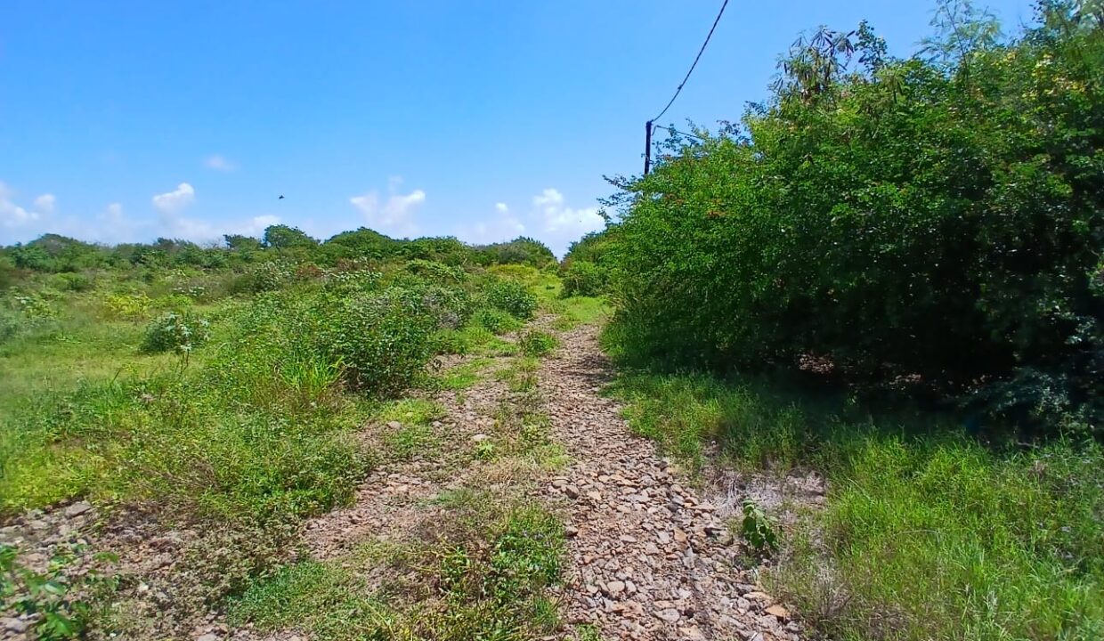 For Sale – Prime Land in Pereybere1