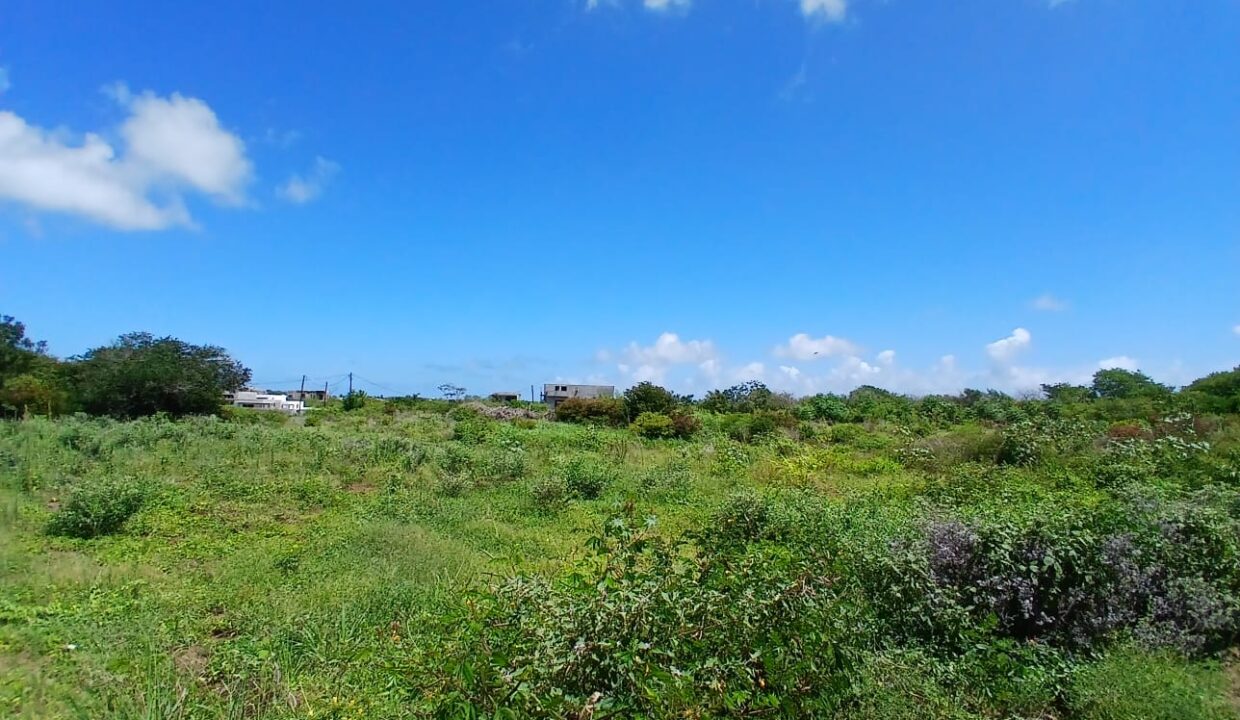 For Sale – Prime Land in Pereybere3