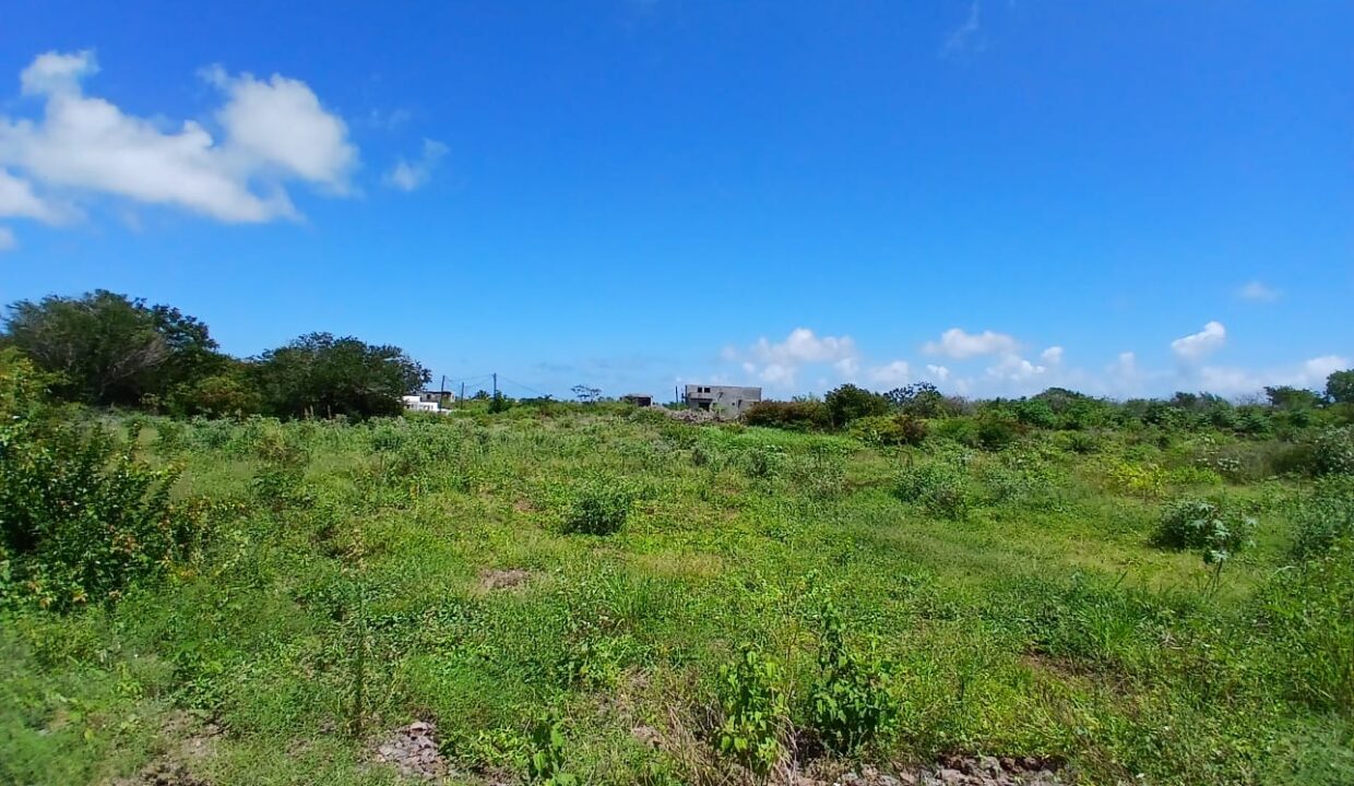 For Sale – Prime Land in Pereybere4