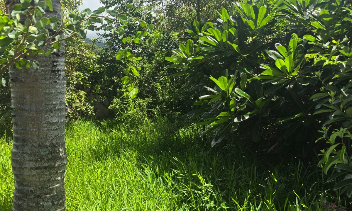 Individual House for Sale in Riambel 10