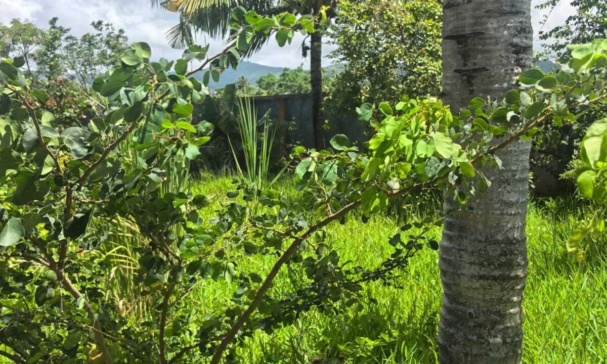 Individual House for Sale in Riambel 12