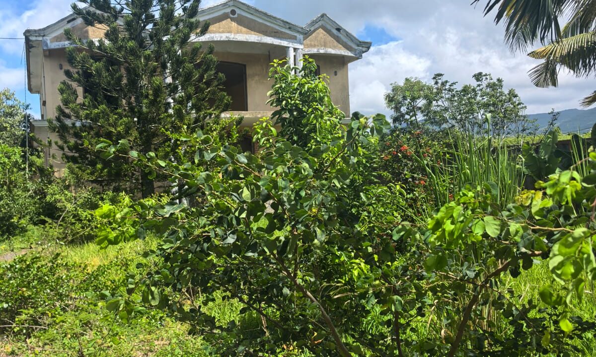 Individual House for Sale in Riambel 14