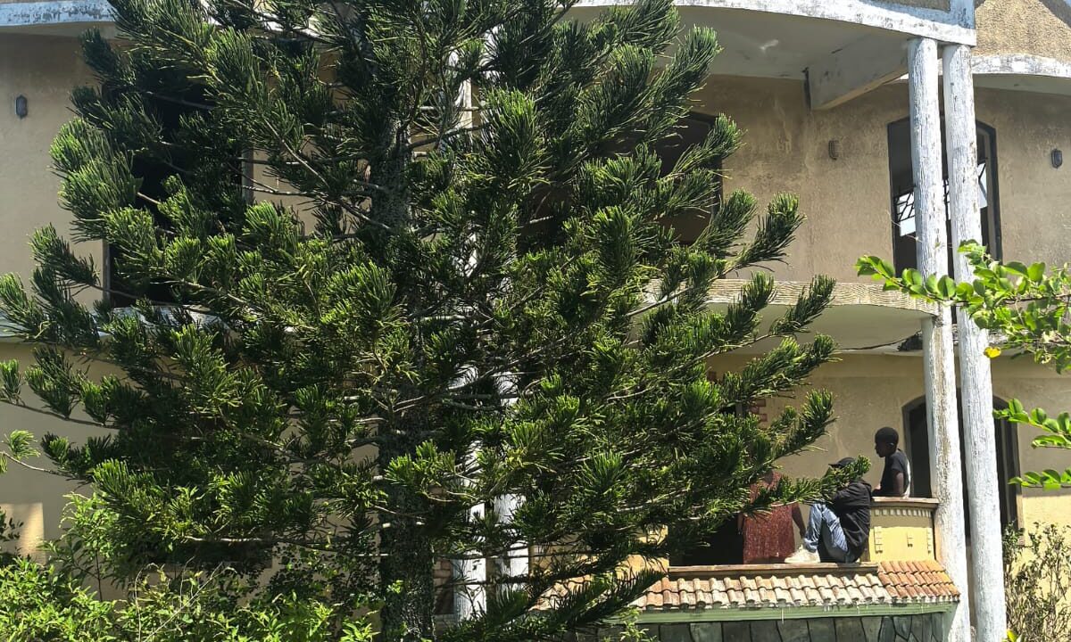 Individual House for Sale in Riambel 8