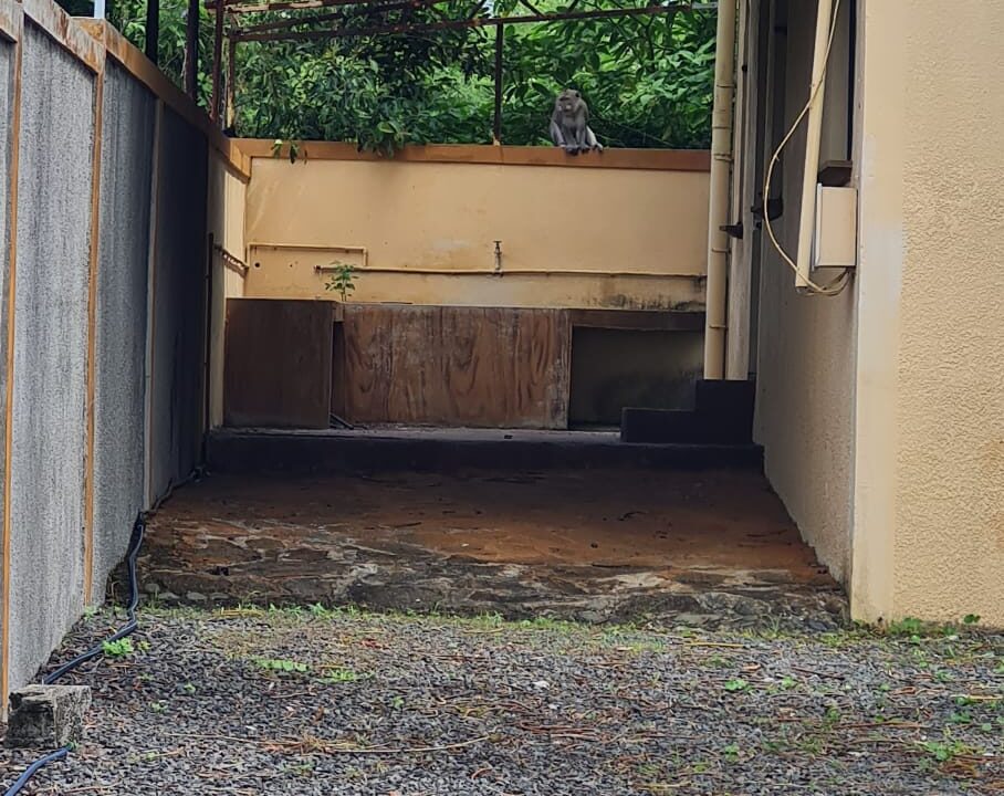 Individual House for Sale in Riambel 9