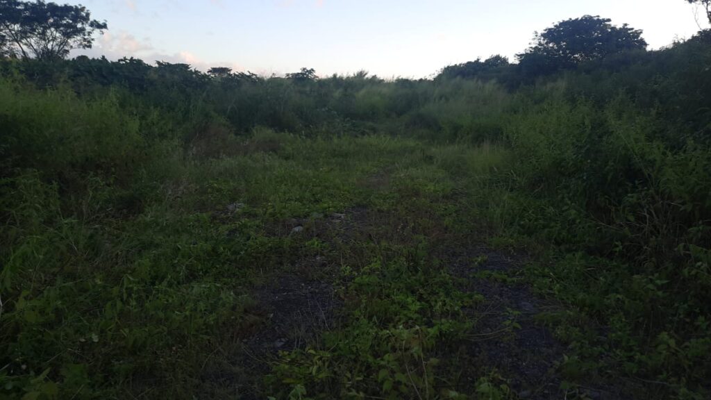 Land for sale in Bras d’Eau