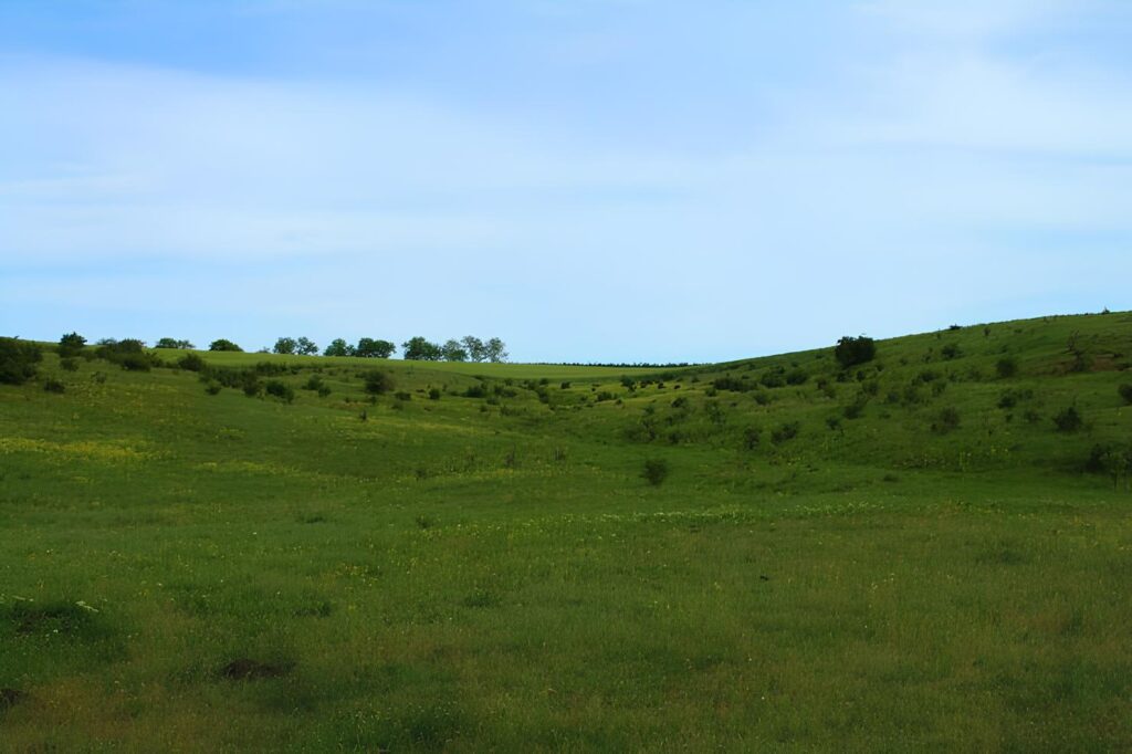 1 arpent Agricultural land for sale in Circonstance, St pierre