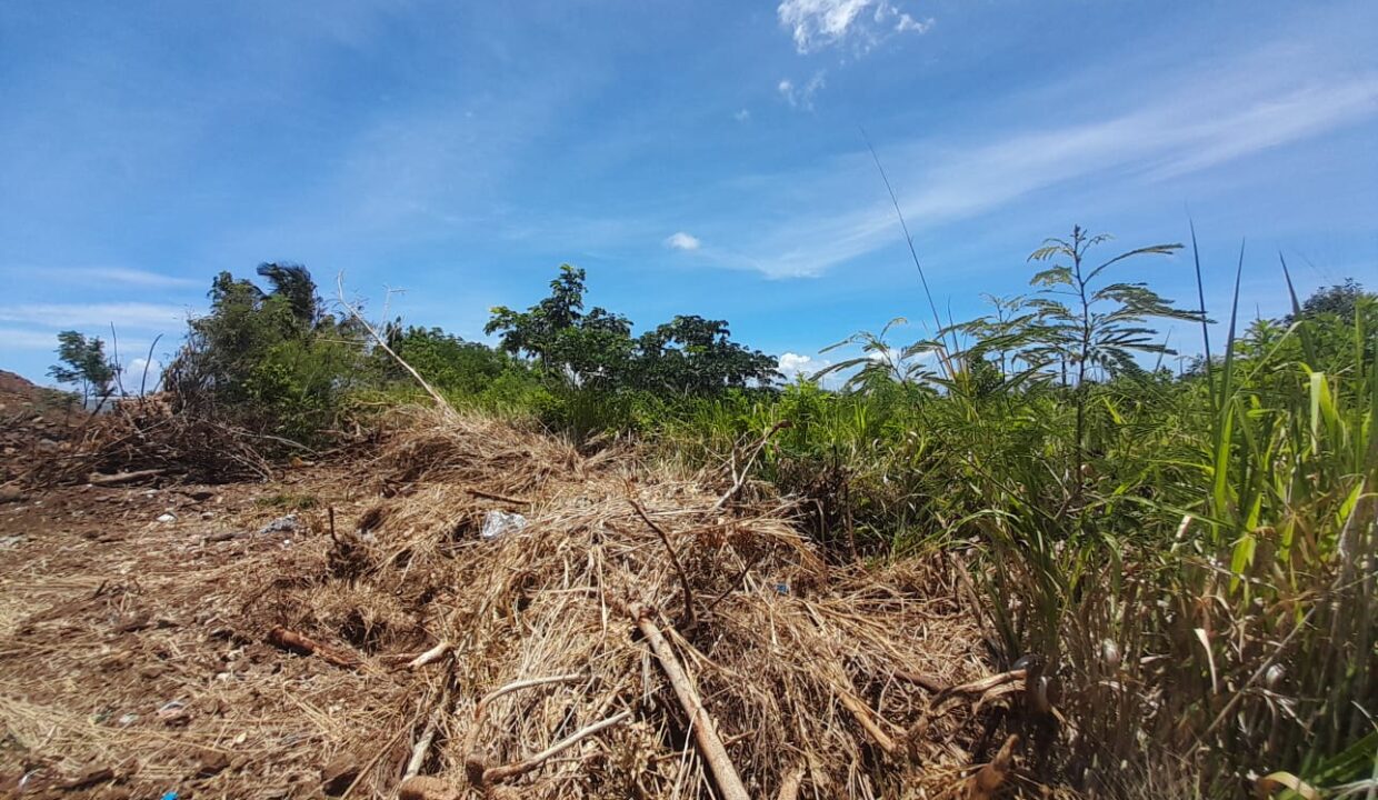 11 Perches Residential Land for Sale – Goodlands Bypass Road, Goodlands 2