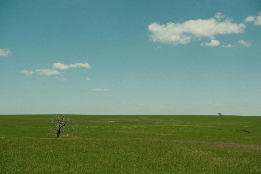 11.3 perches Residential Land for Sale in Pierrefonds