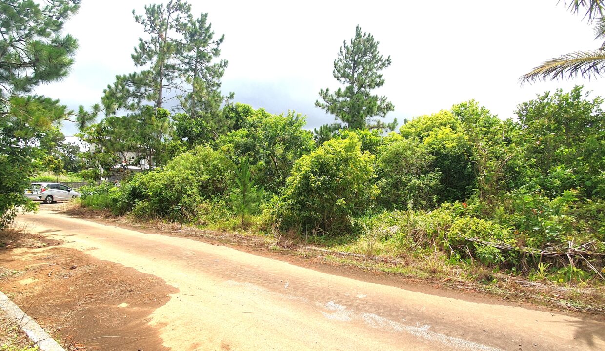 12.68 perches land for sale in Wooton6