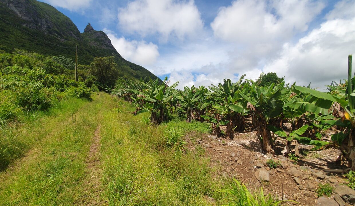 26.29 perches Freehold Residential Land for Sale at La Laura Peter Both 1