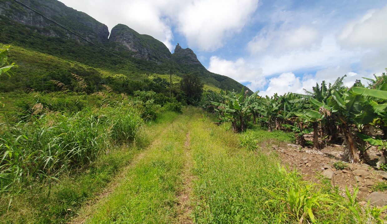 26.29 perches Freehold Residential Land for Sale at La Laura Peter Both 11