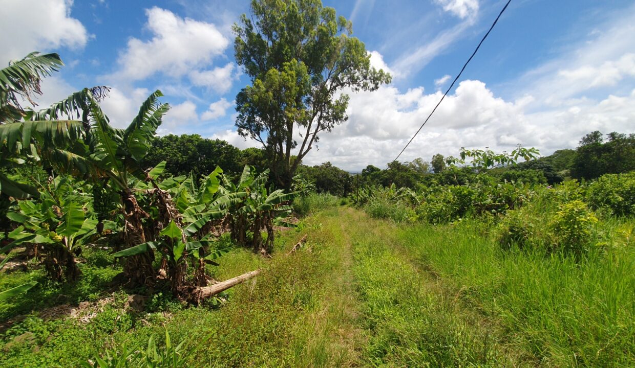 26.29 perches Freehold Residential Land for Sale at La Laura Peter Both 12