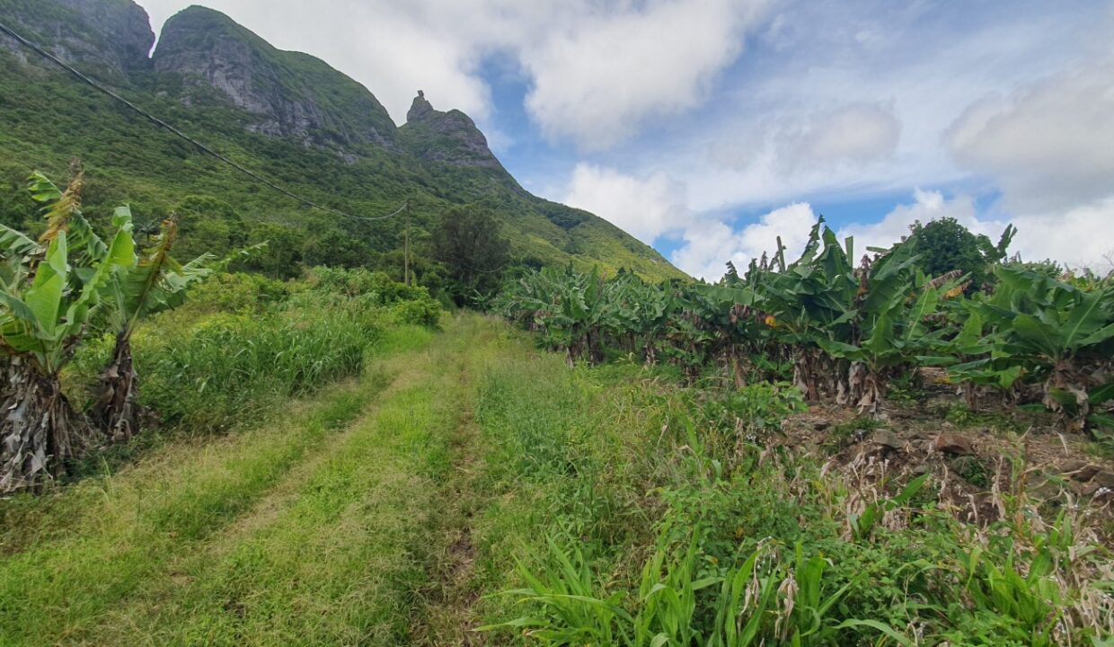 26.29 perches Freehold Residential Land for Sale at La Laura Peter Both 2