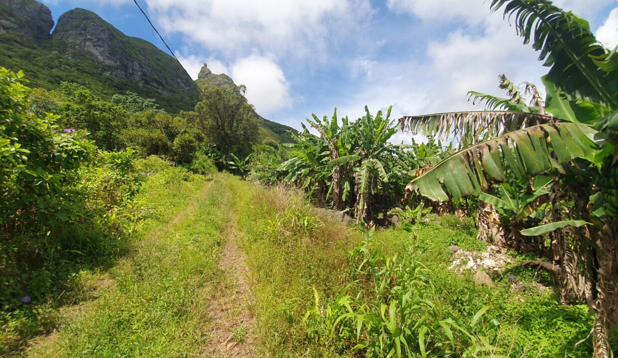 26.29 perches Freehold Residential Land for Sale at La Laura Peter Both 3