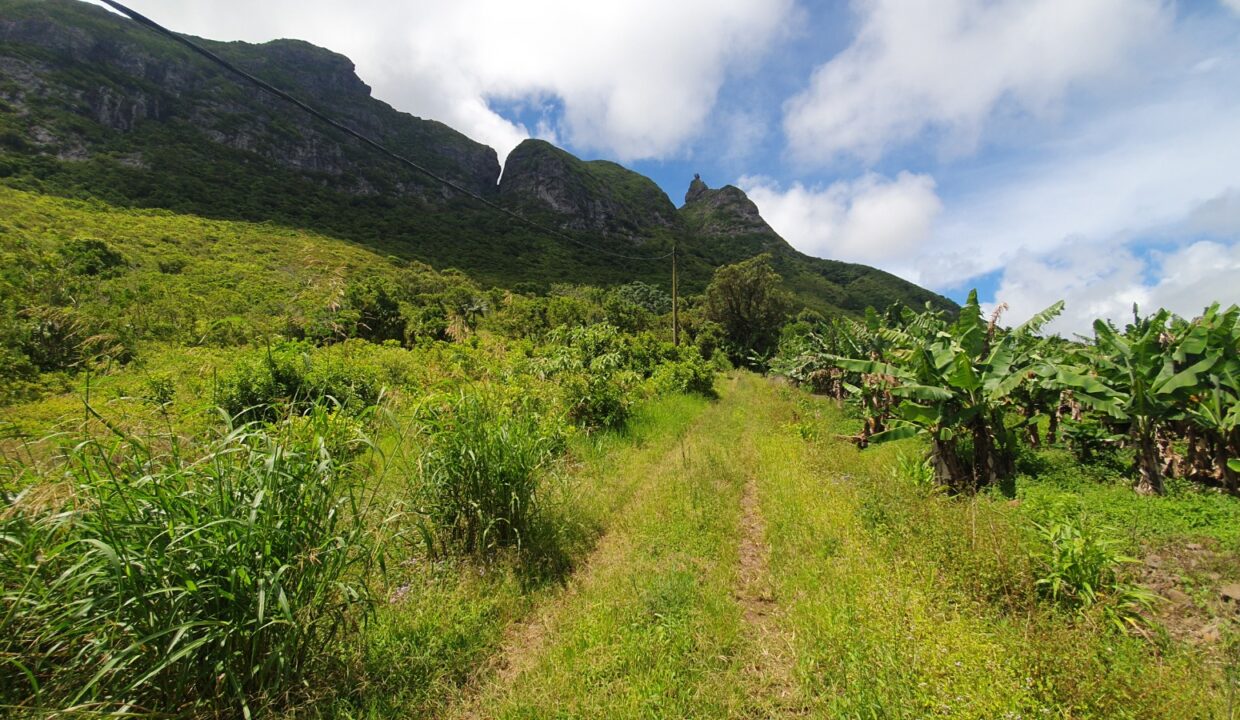 26.29 perches Freehold Residential Land for Sale at La Laura Peter Both 4