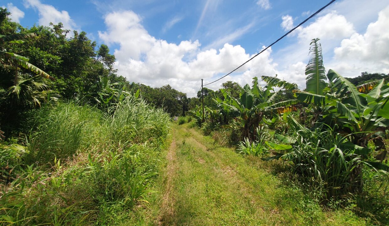 26.29 perches Freehold Residential Land for Sale at La Laura Peter Both 5