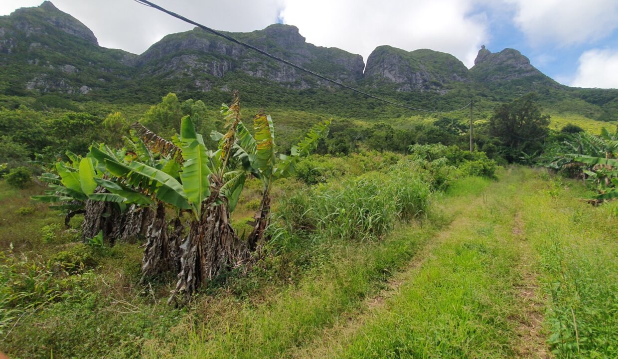 26.29 perches Freehold Residential Land for Sale at La Laura Peter Both 6