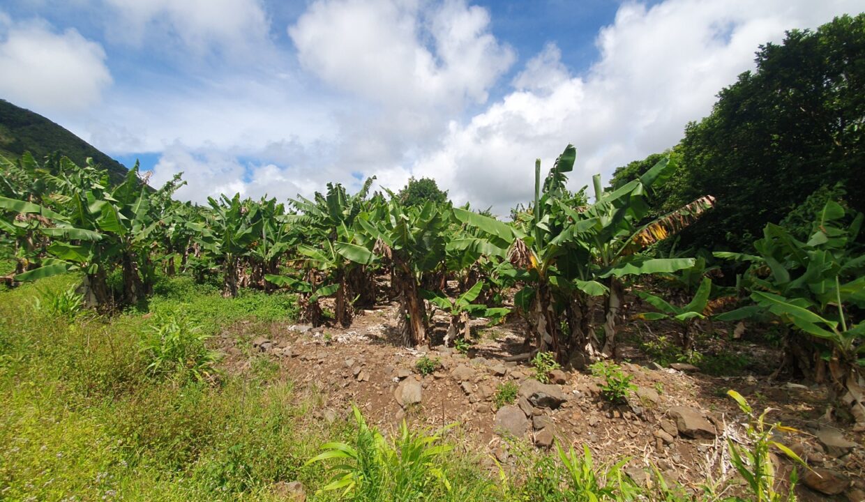 26.29 perches Freehold Residential Land for Sale at La Laura Peter Both 7