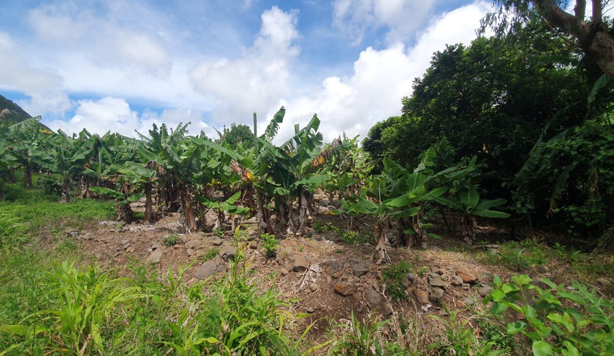 26.29 perches Freehold Residential Land for Sale at La Laura Peter Both 8