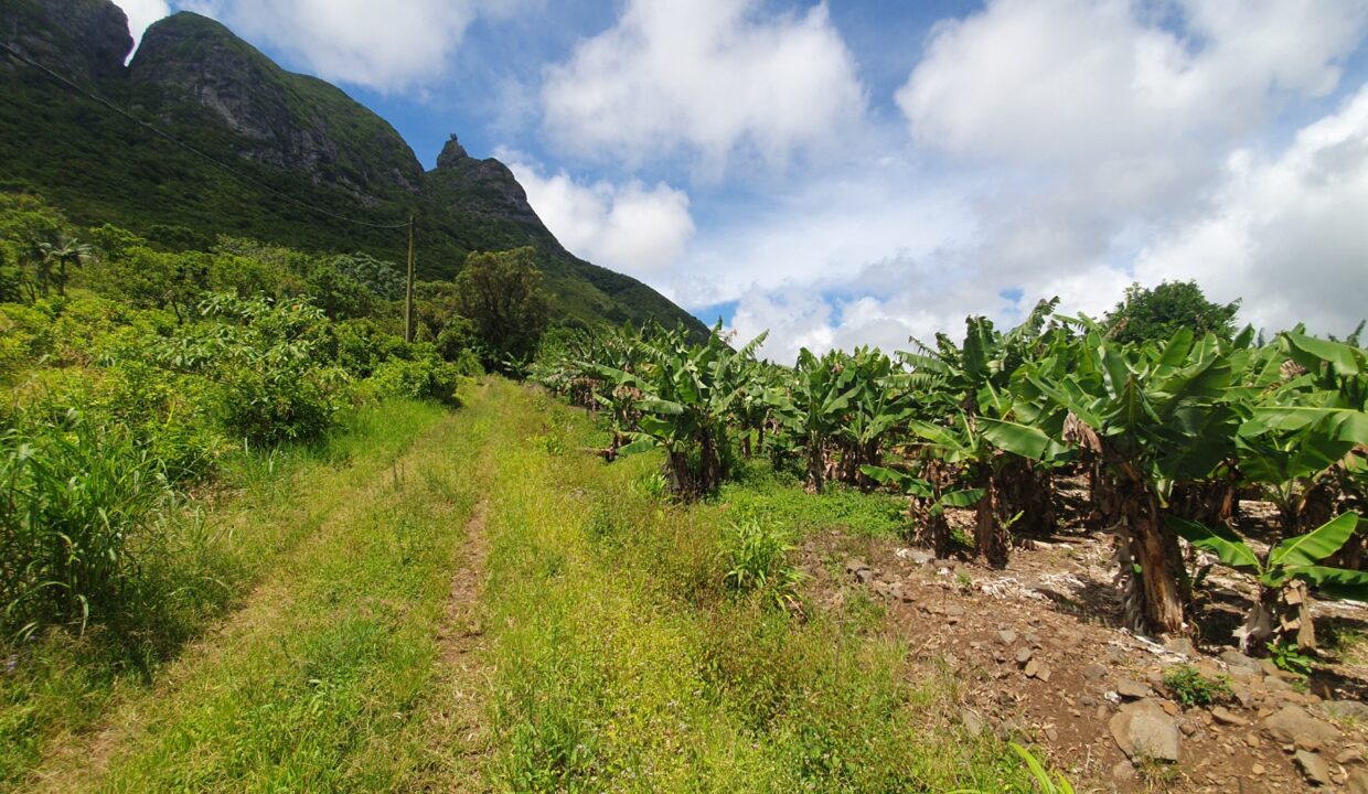 26.29 perches Freehold Residential Land for Sale at La Laura Peter Both 9