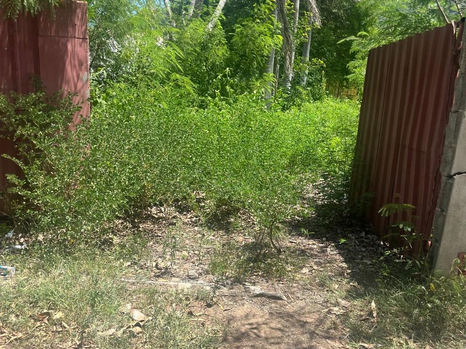 50 Perche Residential Land for Sale in Tamarin 10
