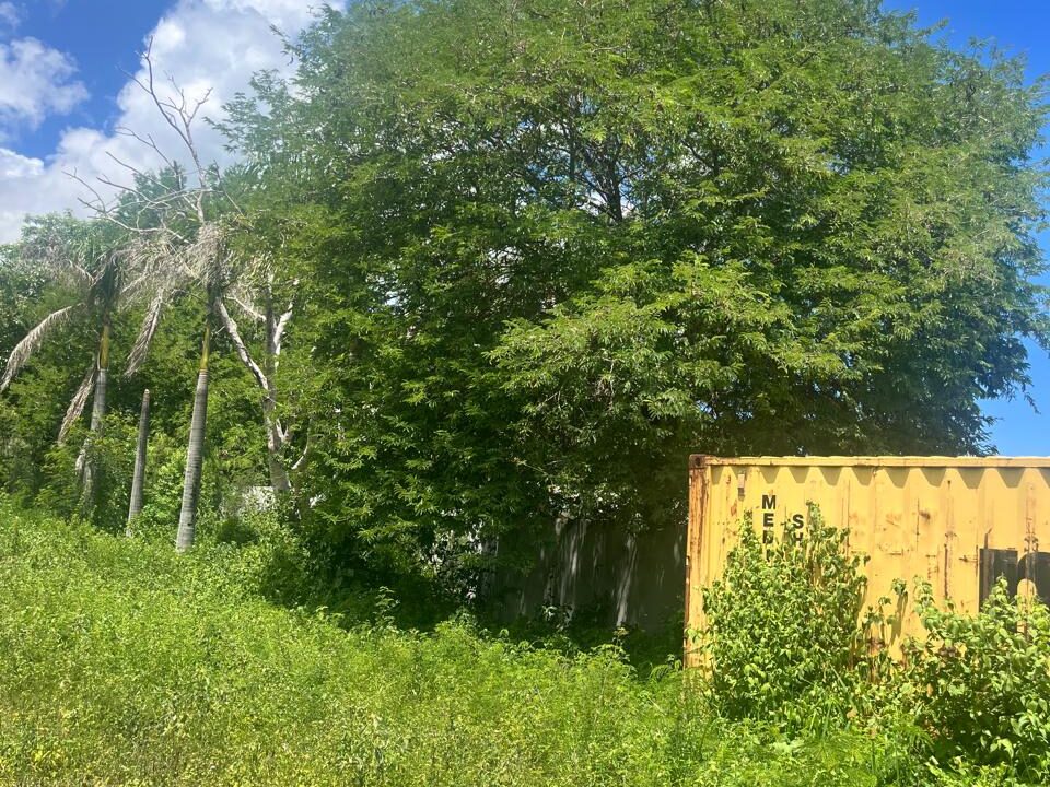 50 Perche Residential Land for Sale in Tamarin 5