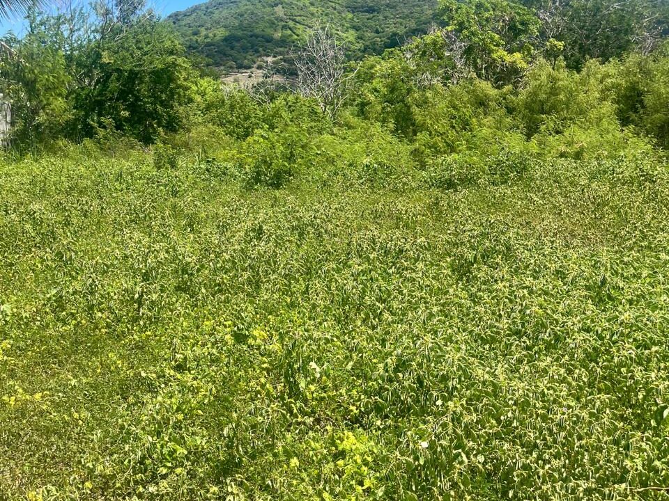 50 Perche Residential Land for Sale in Tamarin 8