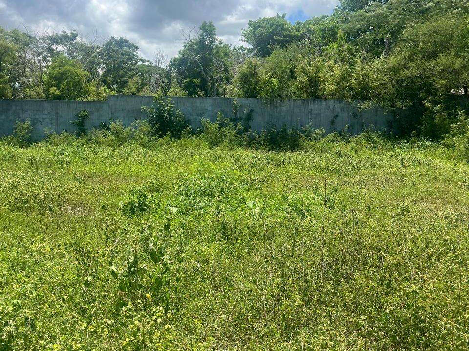 50 Perche Residential Land for Sale in Tamarin 9