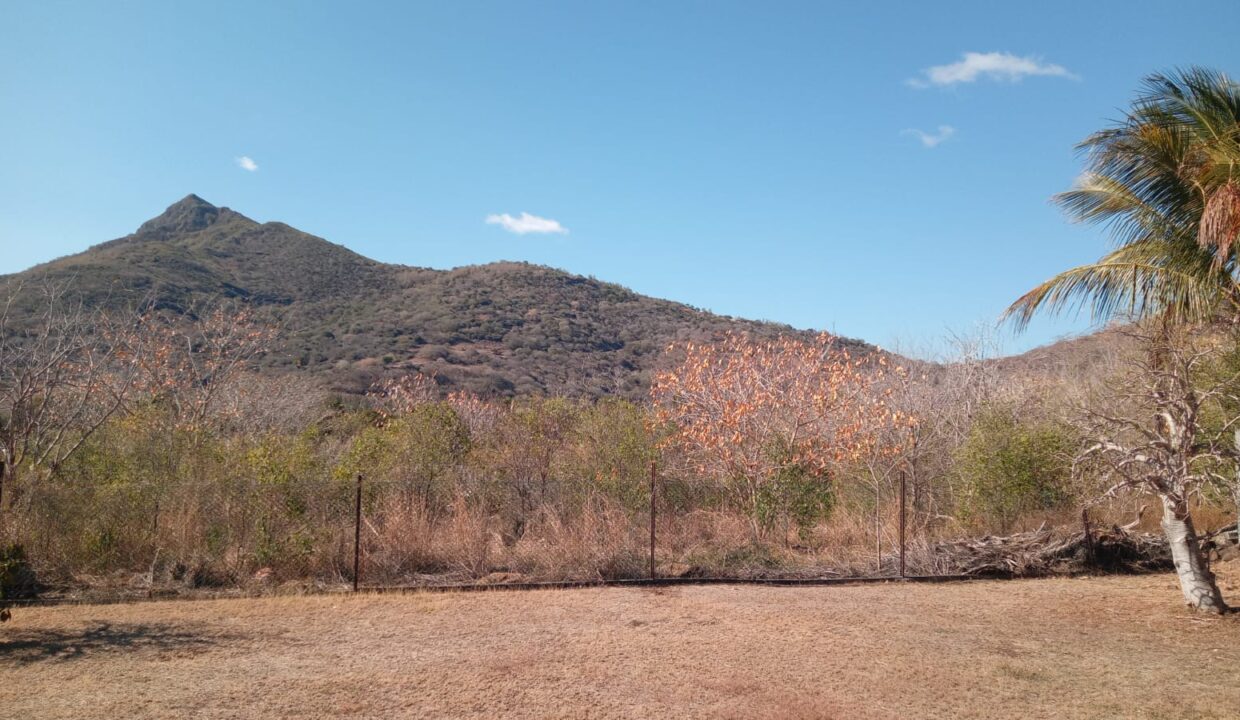 50 perches Residential Land for Sale in Tamarin 11