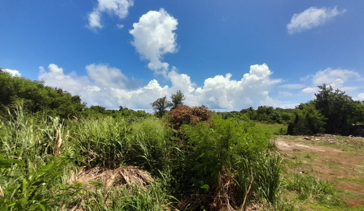 8.5 Perches Residential Land for Sale in Pereybere 6