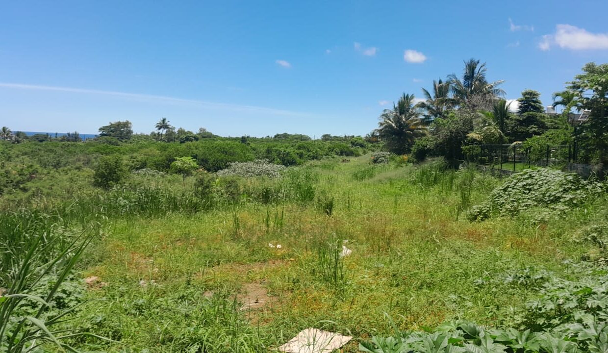 Commercial value land for sale Chemin Grenier 1