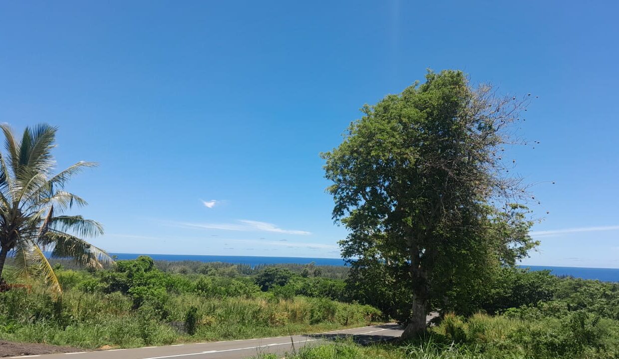 Commercial value land for sale Chemin Grenier 2